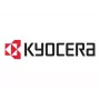 Kyocera DK-3170(E) Unidade de tambor original - 300 000 páginas