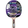 Raquete de ténis de mesa Donic Schildkröt Legends 800 rosa, madeira