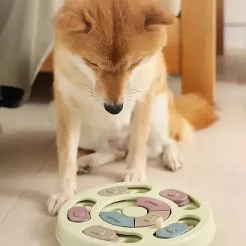 iLike Comedouro Puzzle para Cães diam. 24 cm Brinquedo Interativo Slow-Eating Jogo de Treino Multicolor