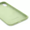 Evelatus Capa de silicone Soft Touch Premium para Apple iPhone XR verde-menta