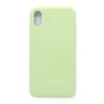 Evelatus Capa de silicone Soft Touch Premium para Apple iPhone XR verde-menta