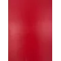 Película Universal Classic Cowhide A3 Evelatus para Plotter de Corte Vermelho
