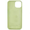 Evelatus Apple iPhone 13 Capa em Silicone Premium Soft Touch Verde-matcha