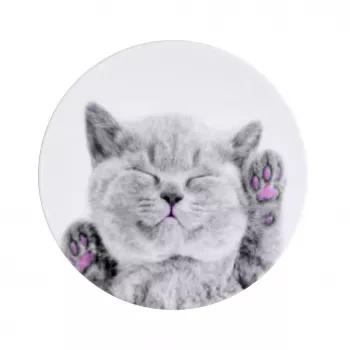 iLike Universal Pop Holder Cat