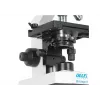 Microscópio binocular de luz transmitida Delta Optical BioStage II 40x-1000x LED