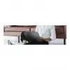 ASUS Zenbook 14 OLED UM3406GA-QD184W - 14 polegadas WUXGA OLED, AMD Ryzen AI 7 445, 32GB RAM, 1TB SSD, Windows 11 Home