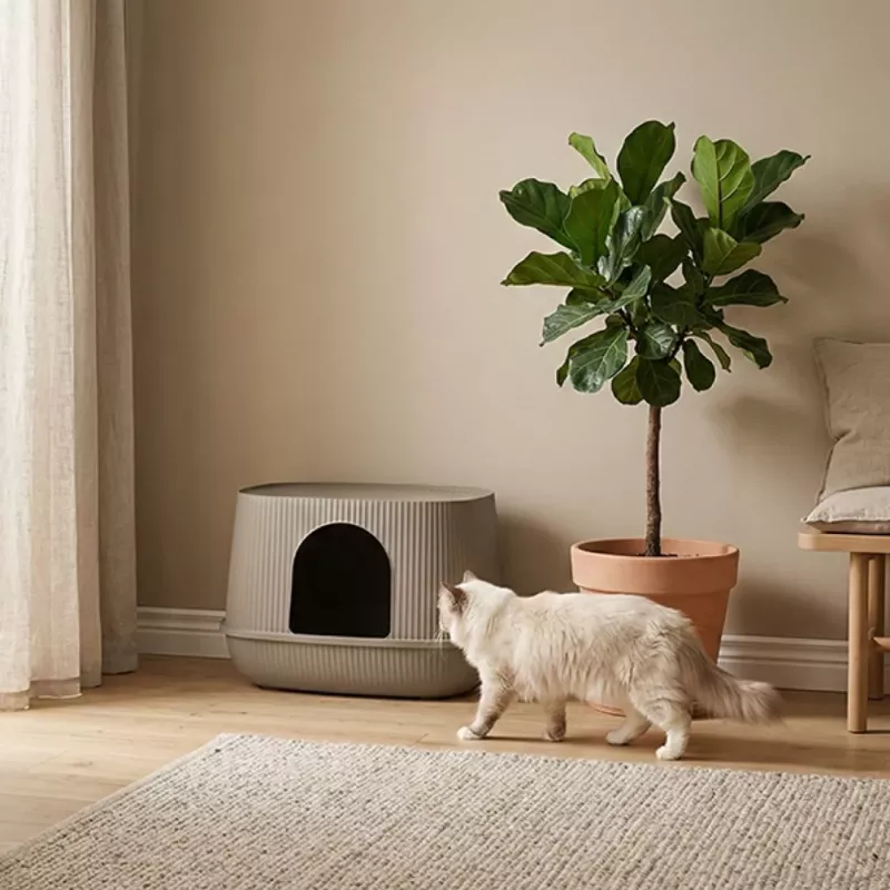 SAVIC Moona caixa de areia para gatos cinzento 57x39x39 cm