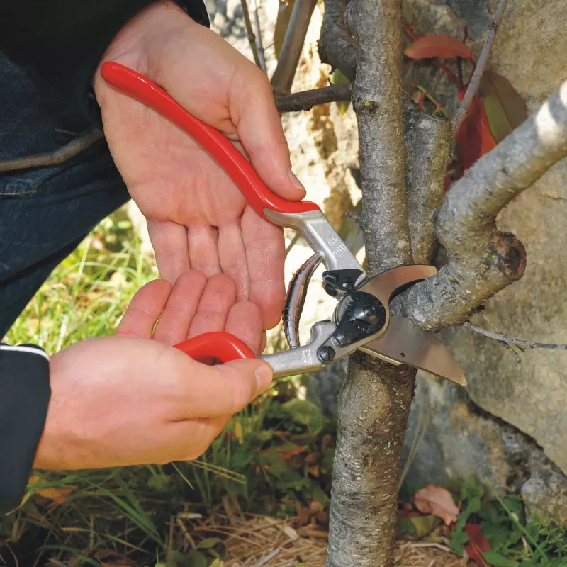 Tesoura de poda de uma mão Felco 13 Classic - bypass, capacidade de corte 30 mm, punhos de alumínio forjado