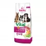 Ração seca GDD Gold Dog Premium Vital cordeiro e arroz para cães 12kg