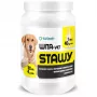 EWE EUROWET Wita-Vet Joints - Suplemento alimentar para cães - 30 comprimidos