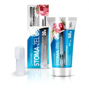 EWE EUROWET Stoma-Żel Pasta de dentes e escova de dentes para cães e gatos com sabor a carne 50 g