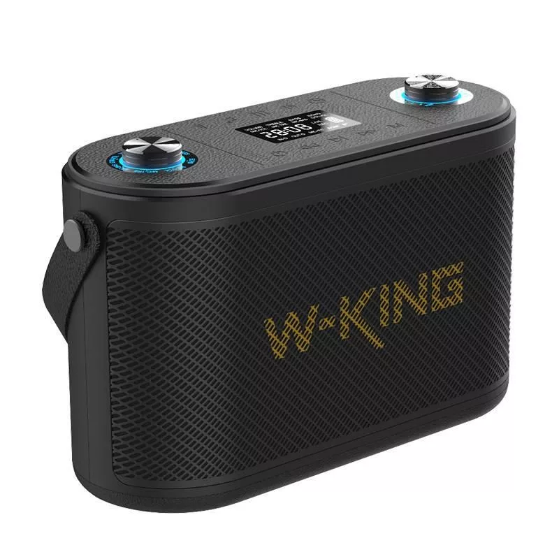 W-KING H10 Altifalante Bluetooth portátil 120W luzes RGB IPX6 preto