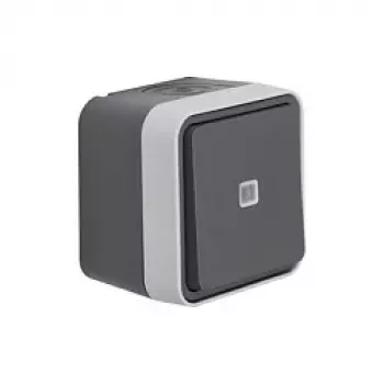 Berker 50763505 Botão FR iluminado com comutador W.1 cinzento