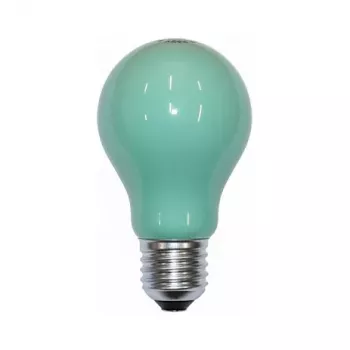 Scharnberger 40246 lâmpada incandescente 25W verde B60x105mm E27 240V