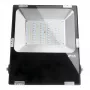 SYNERGY21 projetor LED 50W RGB-WW RGB-CCT IP65 230V
