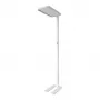 Synergy 21 candeeiro de pé LED Office Line branco, regulável
