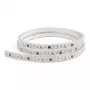 SYNERGY21 fita LED Flex Strip 2835 - 120 NW Pixel DC24V WS2811 IP65