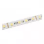 SYNERGY21 fita LED Flex Strip 2835 - 120 WW Pixel DC24V WS2811 IP20