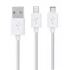 Rio DCWU-EU/1,6 kit de branqueamento dentário USB