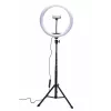 RIO RL12-EU/1,4 Anel de luz de beleza RGB de estúdio 30cm