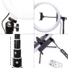 RIO RL12-EU/1,4 Anel de luz de beleza RGB de estúdio 30cm