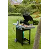 Barbecook Grelhador a gás Spring 3112 com arrumação, 115 x 55 x 133 cm