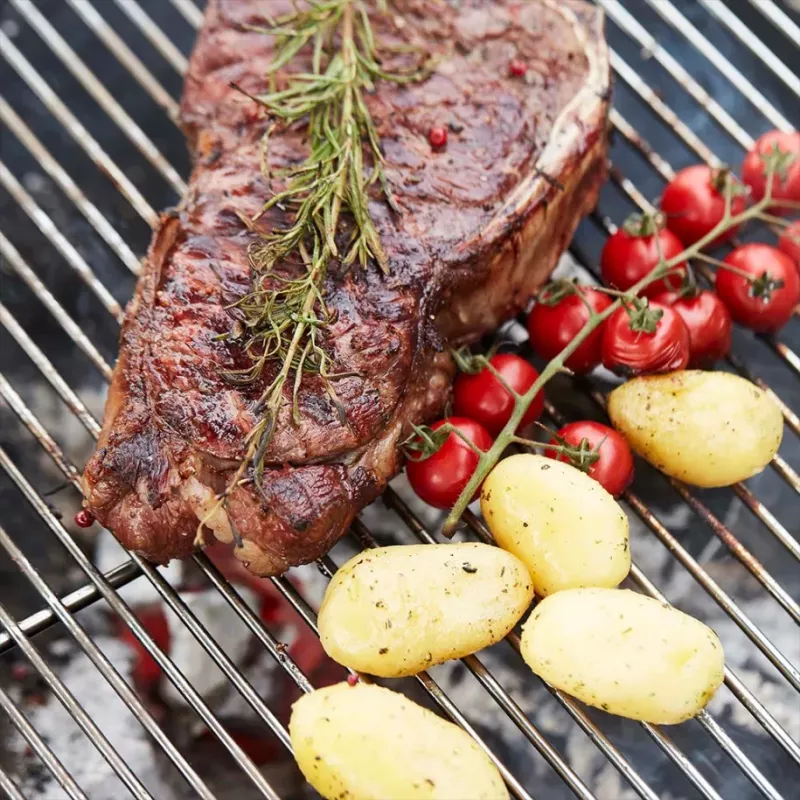 Barbecook grelha profissional FSC 58,5 x 68 x 1 cm BC-ACC-7158