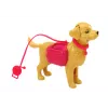 LEAN TOYS Conjunto de Bonecas com Cães, Gato e Acessórios de Veterinário