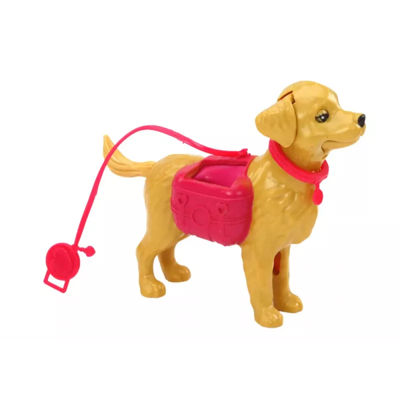 LEAN TOYS Conjunto de Bonecas com Cães, Gato e Acessórios de Veterinário