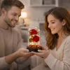 LEAN 2 rosas eternas em campânula com iluminação LED e pétalas de rosa vermelhas 21x11cm