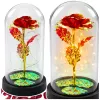 LEAN Rosa eterna de cristal em campânula com iluminação LED vermelha 21x11cm