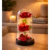 LEAN 2 rosas eternas em campânula com iluminação LED e pétalas de rosa vermelhas 21x11cm