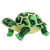 LEAN TOYS Peluche mascote tartaruga, peluche, verde, 25 cm