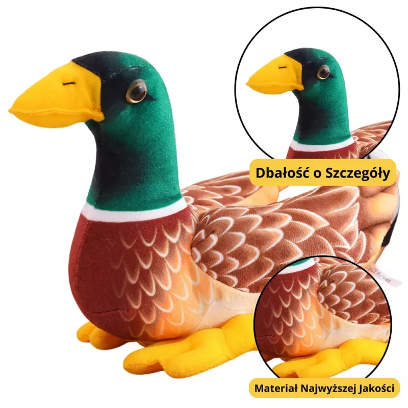 LEAN TOYS Peluche Mascote Peluche de Aconchego Pato Castanho Verde 28cm