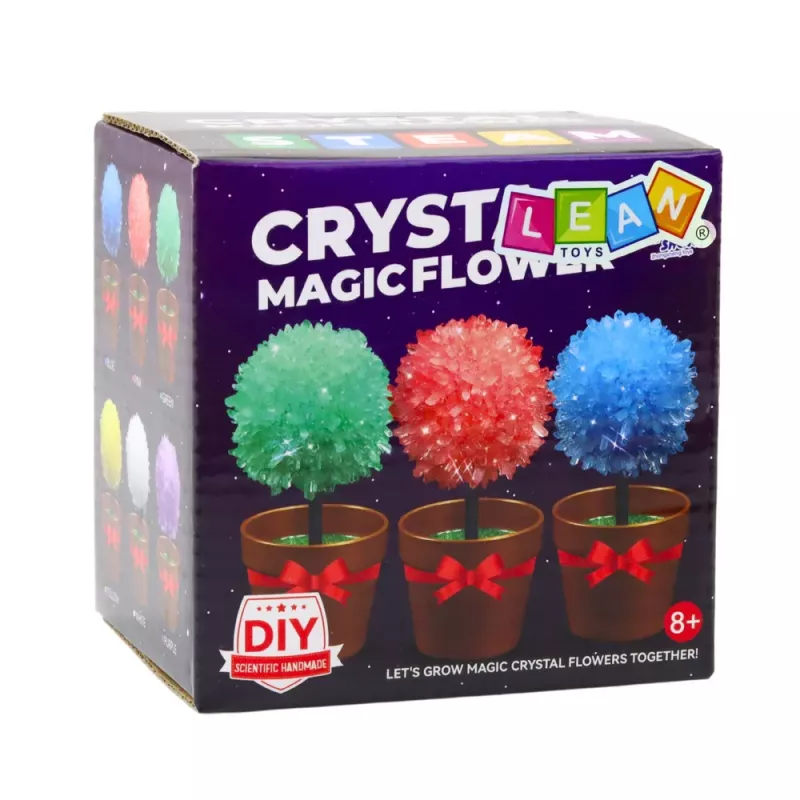LEAN TOYS Cultivo de Cristais Árvore de Cristal Mágica Experiência Educativa