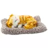 LEAN TOYS Gato ruivo a dormir em almofada Figura com sons de saco de pelo