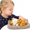 LEAN TOYS Gato ruivo a dormir em almofada Figura com sons de saco de pelo
