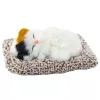 LEAN TOYS Gato branco a dormir em almofada Figura com saco de pelo e sons