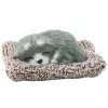 LEAN TOYS Figura de Husky a dormir numa almofada com bolsa de pelo e sons