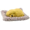 LEAN TOYS Figura de Labrador a dormir numa almofada com pelo e bolsa transparente com sons