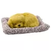 LEAN TOYS Figura de cachorro de Labrador a dormir numa almofada com pelo e bolsa transparente