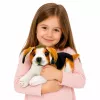 LEAN TOYS Peluche cão beagle, peluche, cão macio, 25 cm
