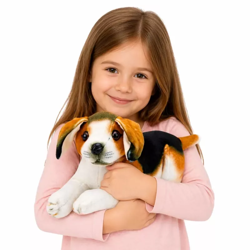 LEAN TOYS Peluche cão beagle, peluche, cão macio, 25 cm