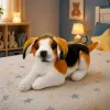 LEAN TOYS Peluche cão beagle, peluche, cão macio, 25 cm