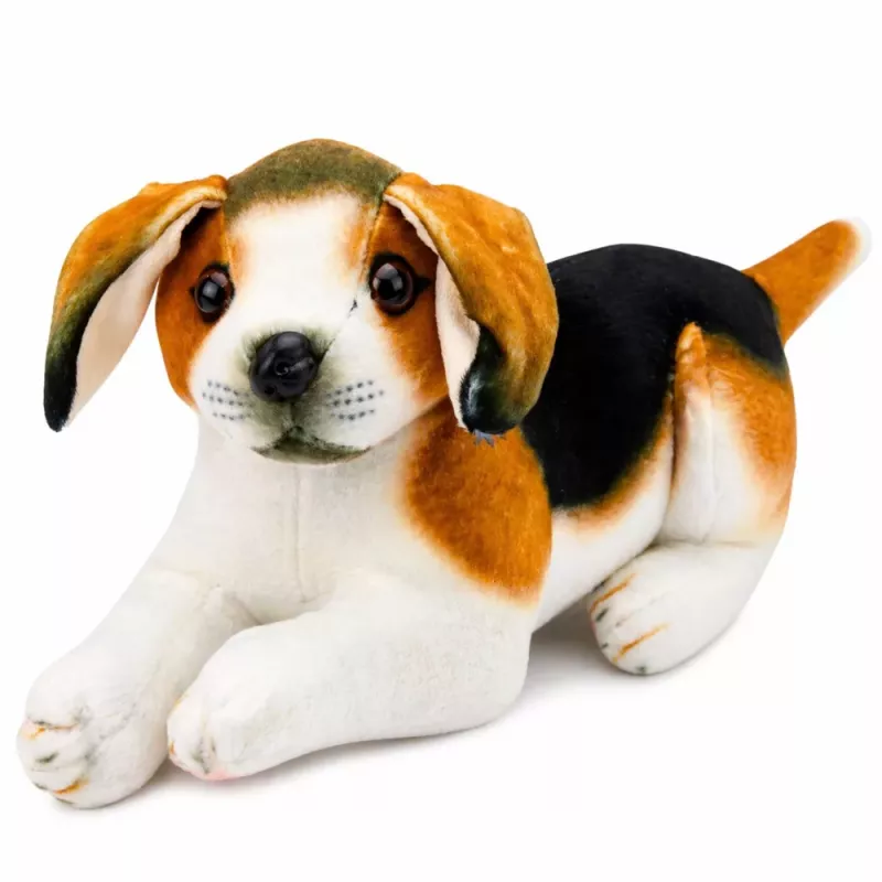 LEAN TOYS Peluche cão beagle, peluche, cão macio, 25 cm