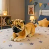 LEAN TOYS Peluche cão pug peluche cão macio 25 cm
