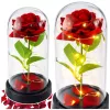 LEAN Rosa eterna em campânula de vidro com iluminação LED, vermelha, 21,5 x 11 cm