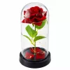 LEAN Rosa eterna em campânula de vidro com iluminação LED, vermelha, 21,5 x 11 cm