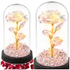 LEAN Rosa eterna em campânula de vidro com iluminação LED de cristal, 21,5 x 11 cm