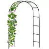 LEAN Pérgula de metal para jardim, para plantas trepadeiras, arco, 240x140 cm